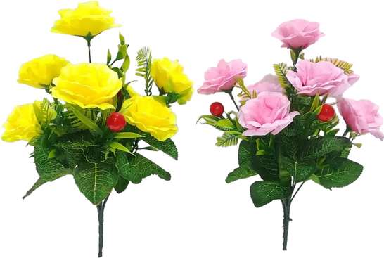 Image Placeholder