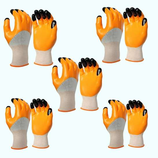 Image Placeholder