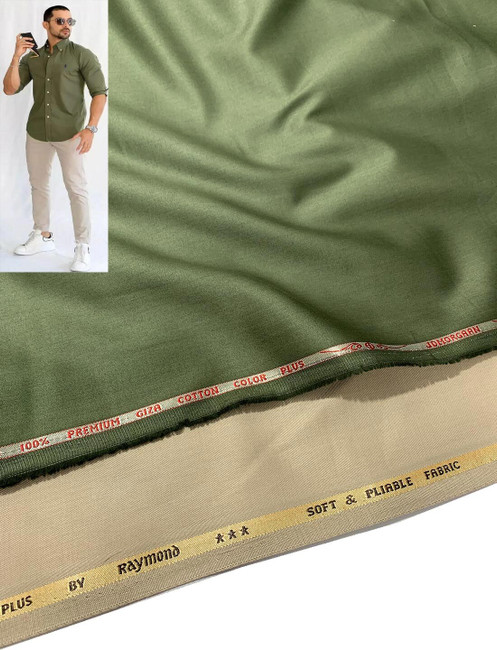 raymond plain shirts