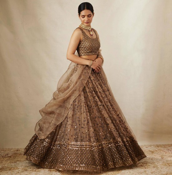 Net Lehenga - Net Lehenga Designs Online at Best Prices in India