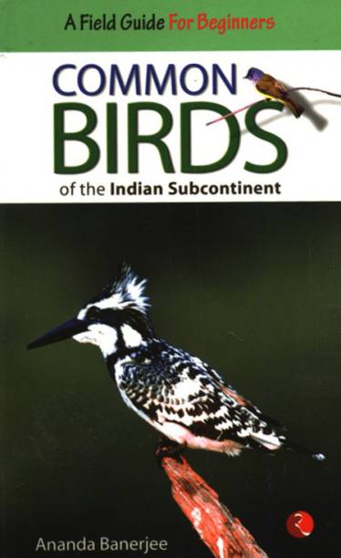 Common Birds of the Indian Subcontinent