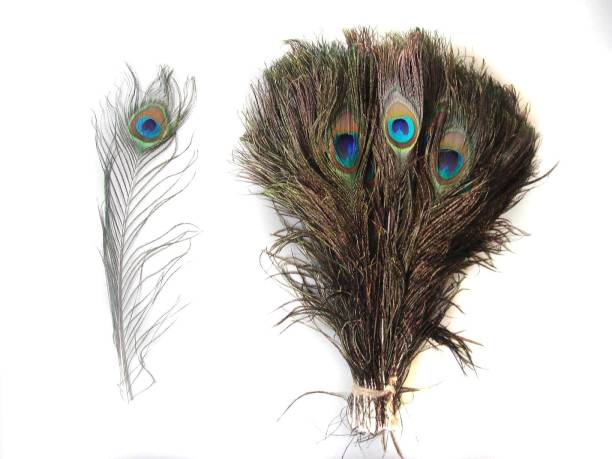 Jetlink Pack of 10 Decorative Feathers