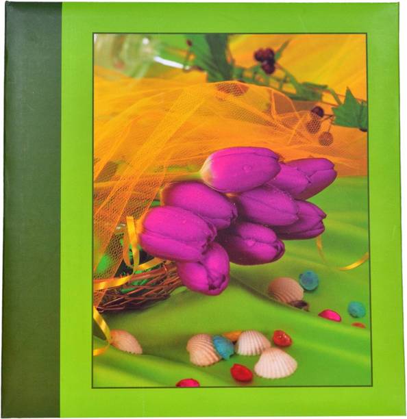 NATRAJ Natraj New Exclusive Slip In (0.6mm Thick Pvc Plastic Pages) 300 Pocket 4 X 6 Inch Album â¦ Album