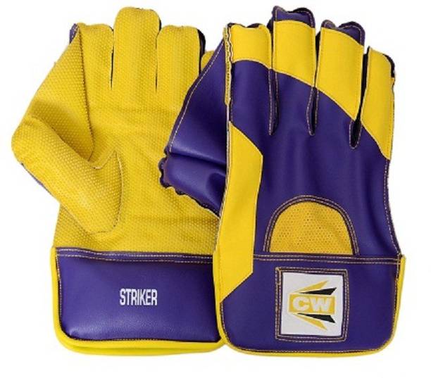 कव Wicket Keeping Glove Striker क्रिकेट किट