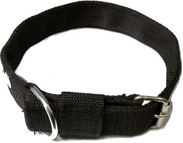 SOLLAR'S M Dog Everyday Collar