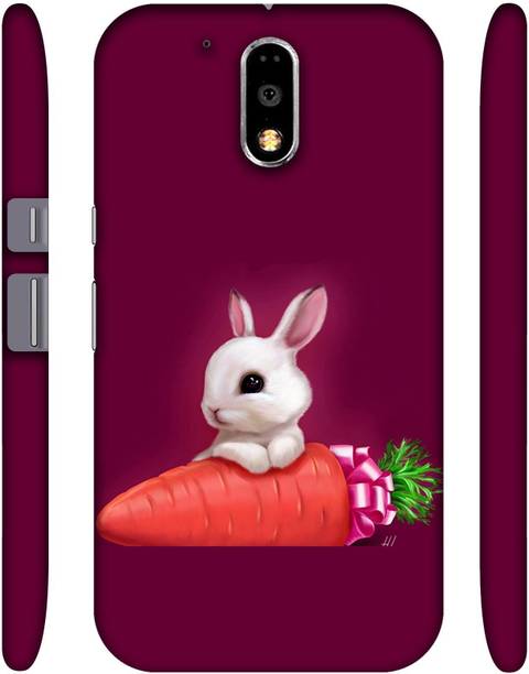 Casotec Back Cover for Motorola Moto G (4th Generation) Plus