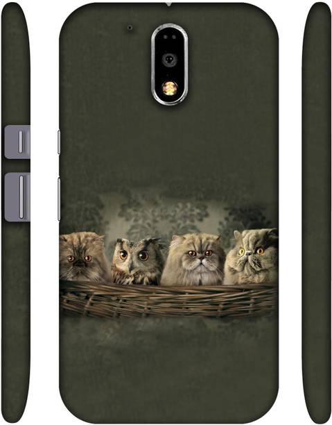 Casotec Back Cover for Motorola Moto G (4th Generation) Plus