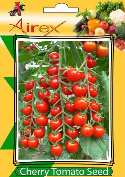 Airex Cherry Tomato Vegetables Seeds (Pack Of 30 Seeds * 1 Per Packet) Seed