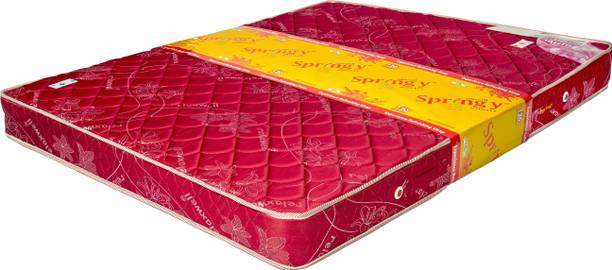 Relaxwell Aristo 6 inch Queen Coir Mattress