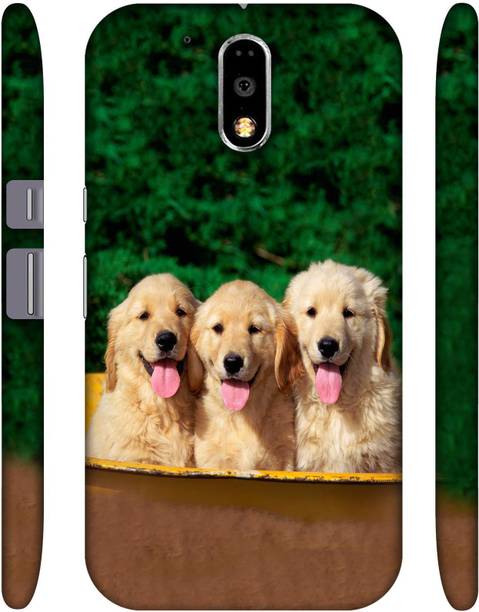 Casotec Back Cover for Motorola Moto G (4th Generation) Plus