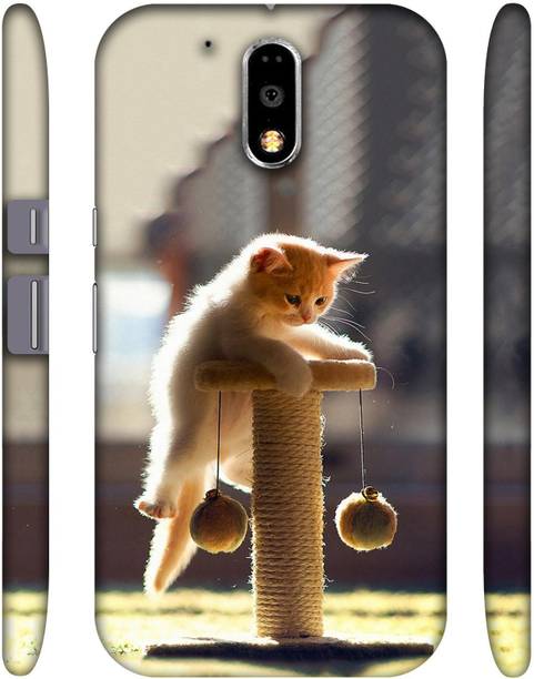 Casotec Back Cover for Motorola Moto G (4th Generation) Plus
