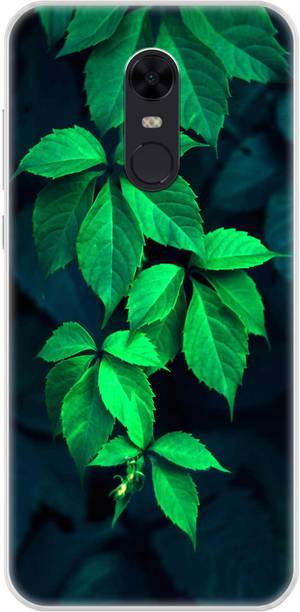 Flipkart SmartBuy Back Cover for Mi Redmi Note 5