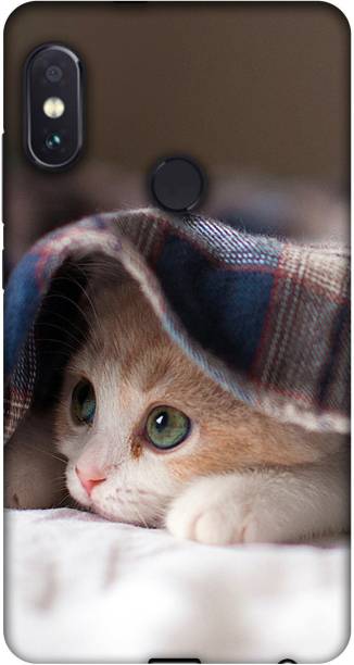 Casotec Back Cover for Mi Redmi Note 5 Pro