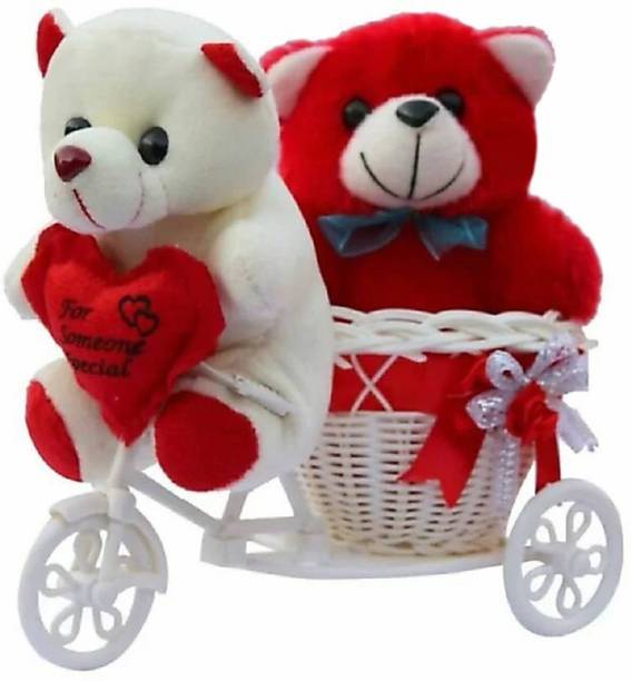 Fun & Joy Favorable & Beautiful Couple of Teddy on Cycle  - 12 cm