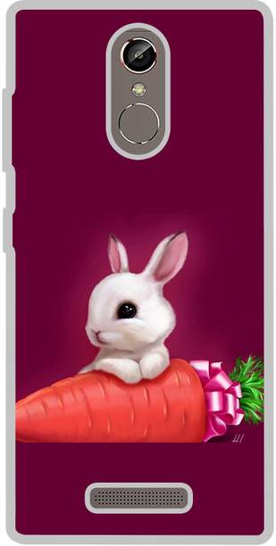 Casotec Back Cover for Gionee S6s