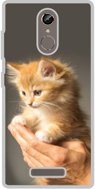 Casotec Back Cover for Gionee S6s