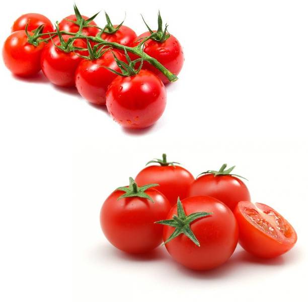 Heirloom Quality Luscious F1 Hybrid Cherry Tomato Seeds, High Germination Fast Growing With Growing Guide (Pack of 30) Seed