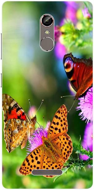 Dreamcase Back Cover for Gionee S6S