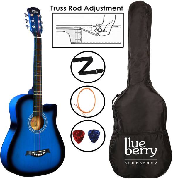BLUEBERRY B-D38-Blue, 38Inch Inbuilt TrussRod Acoustic Guitar Linden Wood Plastic Right Hand Orientation