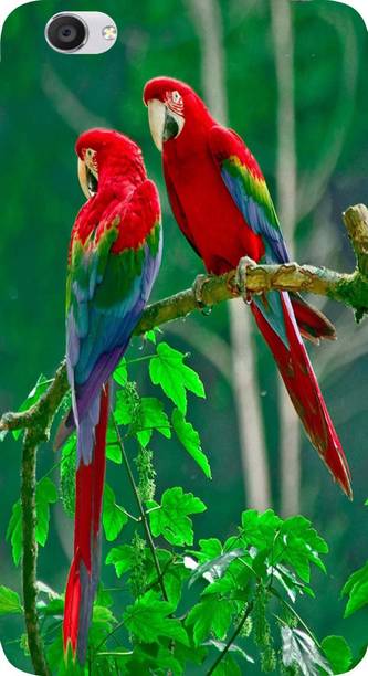 Print maker Back Cover for VIVO Y55L