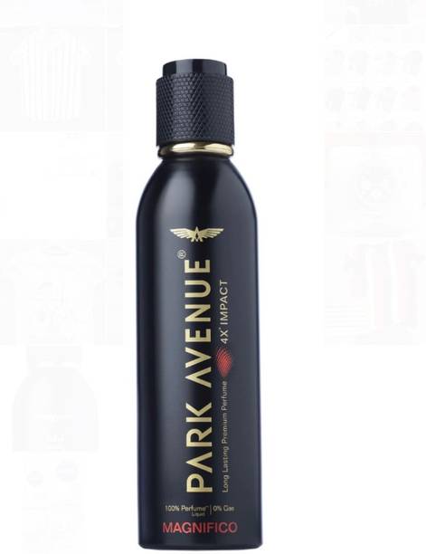 PARK AVENUE Magnifico Deodorant Spray - For Men