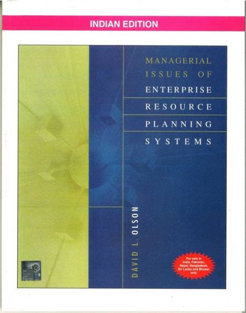 Managerial Issues of Enterprise Resource Planning Systems