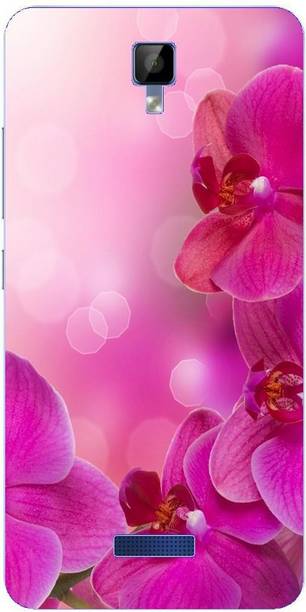 Dreamcase Back Cover for Gionee P7 Max