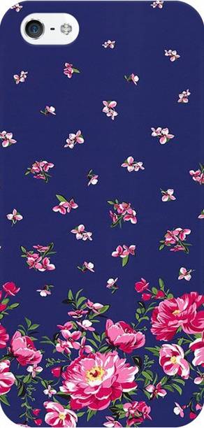 COBIERTAS Back Cover for Apple iPhone 5s