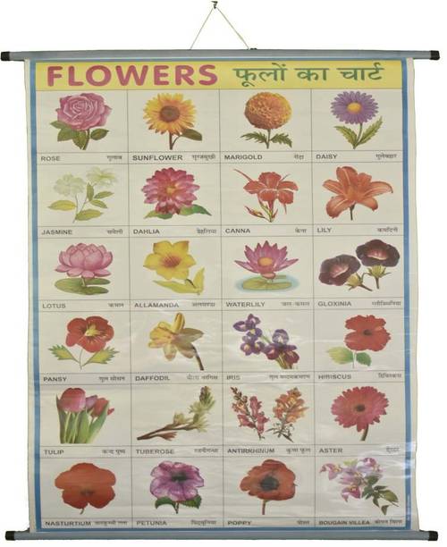 फोटोग्राफिक पेपर