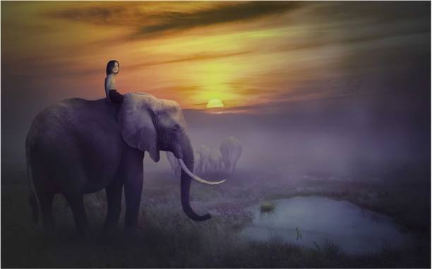 The Jungle Book Mowgli Poster for room and home décor Paper Print