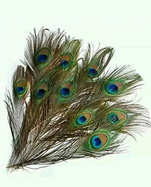 Kesar Zems Pack of 10 Decorative Feathers