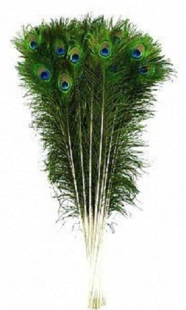 Urvi Creations Pack of 25 Decorative Feathers