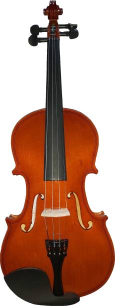 Blazon Blazon SGV015G 4/4 Classical (Modern) Violin