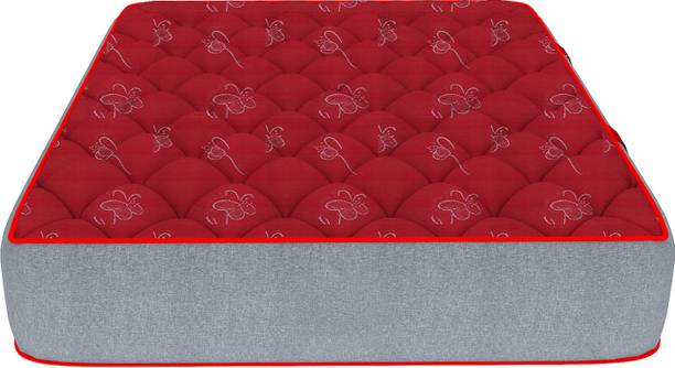 WakeFitness Discover By Comfort 6 inch King Bonnell Spring Mattress