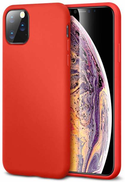 RAEGR Back Cover for Apple iPhone 11 Pro