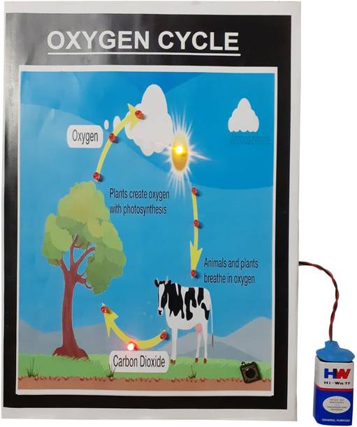 MELODY's Oxygen Cycle Science Working Model Educational Electronic Hobby Kit