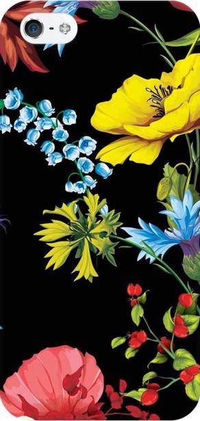 COBIERTAS Back Cover for Apple iPhone 5s