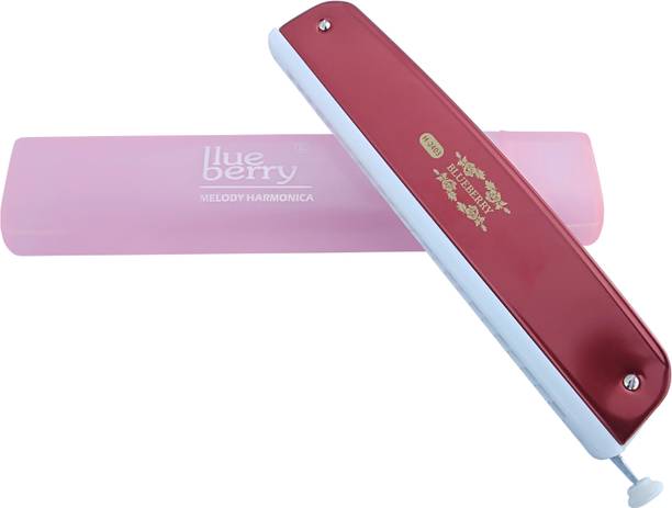 BLUEBERRY H-2403 24 Holes Key C Mouth Organ | 48 Tone | Scale Changer With Case For Professional, Beginners, Student Harmonica