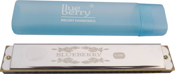 BLUEBERRY H-2401 24 Holes Key C Mouth Organ | 48 Tone | With Case For Professional, Beginners, Student Harmonica