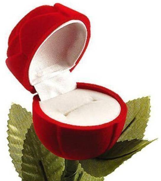 NP Set of 2 Quality Ring Box for Ring Ceremony, Vanity Box, Ring Box, Engagement Box, Jewellery Box, Valentine Box Ring Ceremony Vanity Box