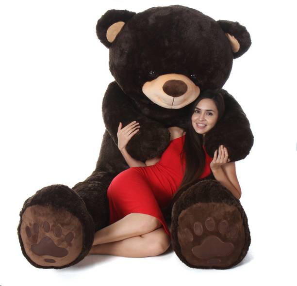 Bhagwati Soft Toy 2 feet cream teddy bear for girls and kids for new year and valentine - 61.96 cm