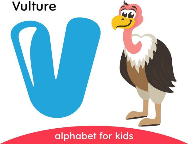 alphabet v for vulture |poster for kids|alphabest poster Paper Print