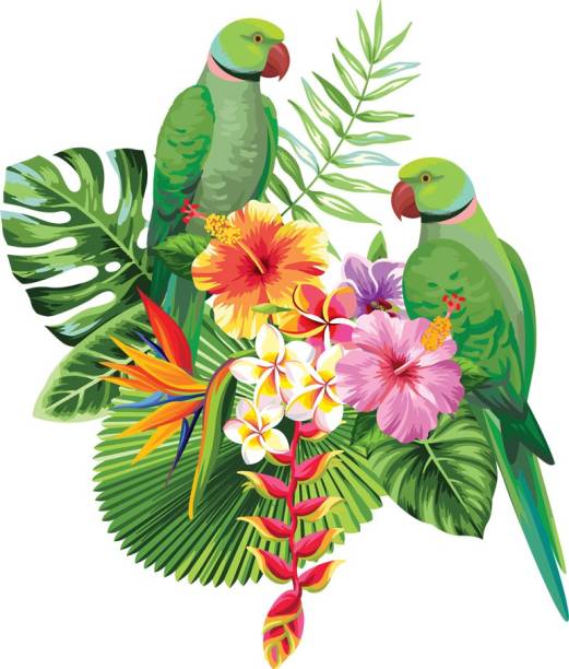 god & god's 48 cm Love Couple Parrot 699 Self Adhesive Sticker