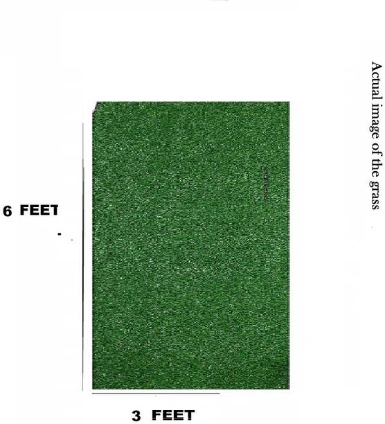 Worthful Creations 1 Piece Carpet Size: (6x3 Feet) or (72"x36" Inches) or (182x91 CM) Artificial Turf Sheet