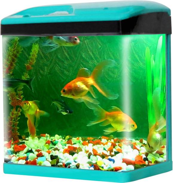 Jainsons Pet Products SOBO-SO-300F-BLUE-COMBO Rectangle Aquarium Tank