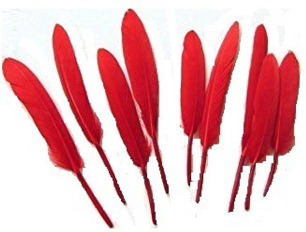 MOREL Pack of 10 Decorative Feathers