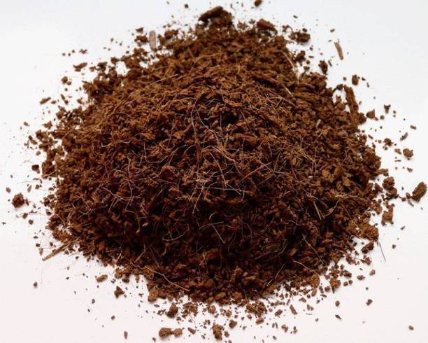 Wizards COCO PEAT Potting Mixture