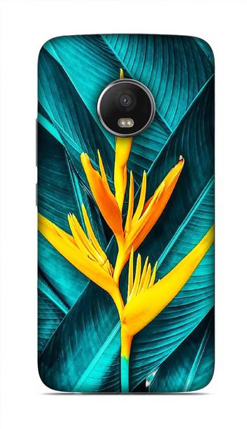 kolli Back Cover for Motorola Moto G5 Plus