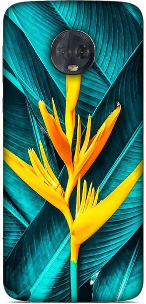 kolli Back Cover for Motorola Moto G6 Plus