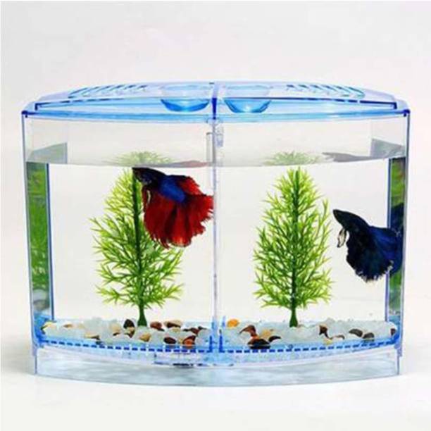 Taiyo Pluss Discovery House Double Rectangle Aquarium Tank